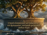 Деревья на скале среди шторма