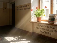 Цветок и книги в простом подъезде