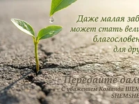 Росток сквозь асфальт с каплей росы