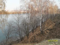 Золотая тишина: берег реки в октябрьской Москве