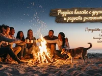 Друзья смеются у ночного костра