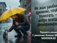 Человек с зонтом спасает котенка в дождь