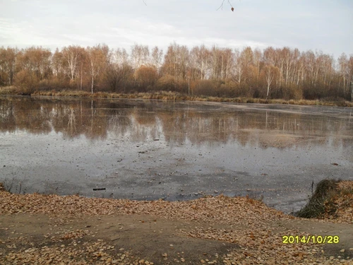 Москва в октябре: отражение осени в тихой воде