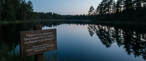 Неподвижное лесное озеро под звездами