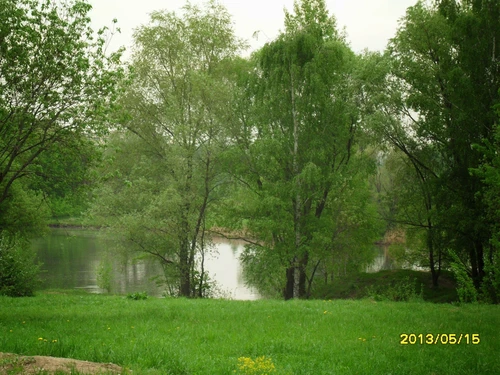 Тихая гавань природы