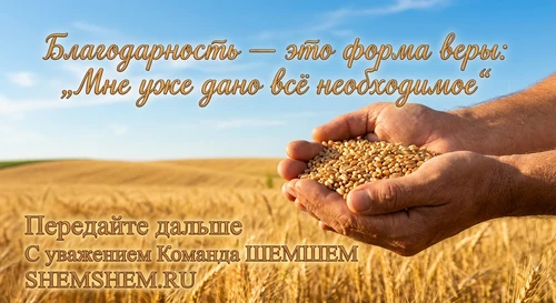 Руки с зерном на фоне поля