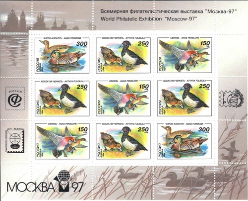 Малый лист почтовых марок России (1994 г.) «Утки»