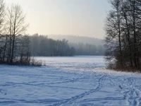 Зимний пейзаж: заснеженное поле, обрамлённое голыми деревьями