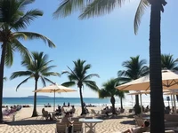 Солнечный берег с пальмами