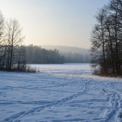 Зимний пейзаж: заснеженное поле, обрамлённое голыми деревьями