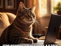 Мем с котом перед ноутбуком