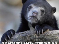 Мем с медвежонком