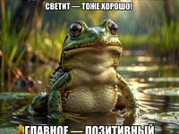 Мем: Лягушка Квакуша: мастер находить плюсы в любой погоде