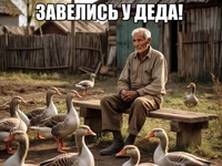 Мем с дедушкой и гусями