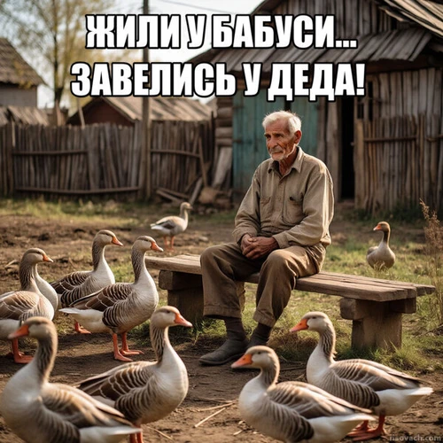 Мем с дедушкой и гусями