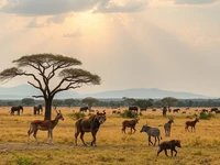 Мир дикой природы: саванна и её обитатели