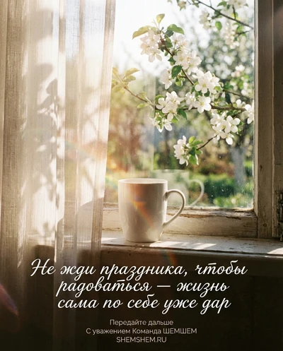 Солнечные блики и ветка за окном