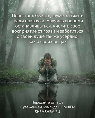 Чистота восприятия в тишине