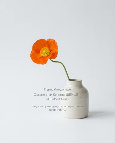 Самодостаточный цветок в свете