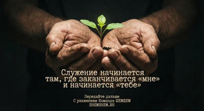 Росток в бережных ладонях