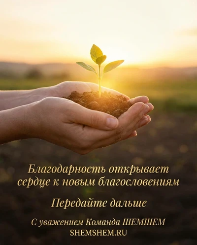 Руки с ростком в золотом свете